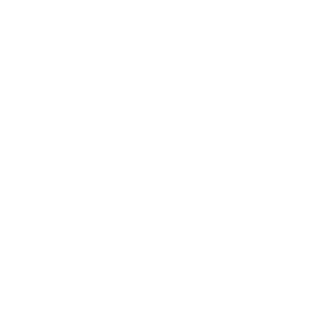 Lord Hobo Logo white
