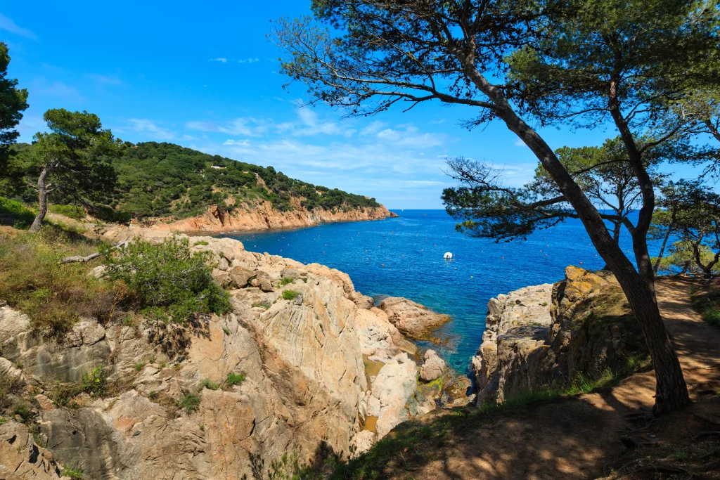Camping de referencia en la Costa Brava recupera la visibilidad de sus datos