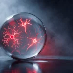 Descubre los diferentes tipos de machine learning