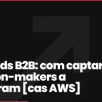 Meta Ads B2B: com captar decision-makers a Instagram [cas AWS]
